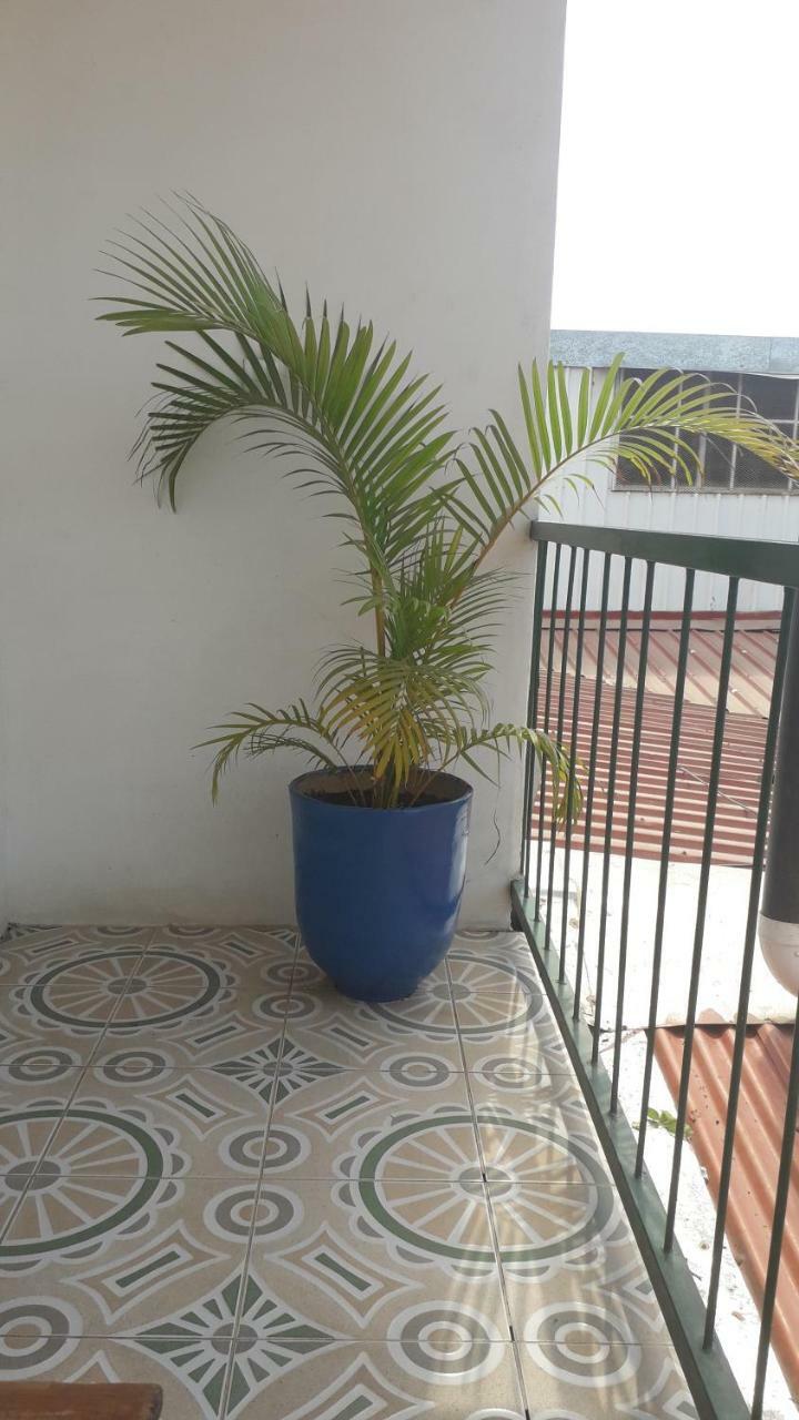 Hostal Familiar Ulua เอสเตลิ ภายนอก รูปภาพ